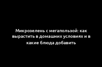 Микрозелень с мегапользой: как вырастить в домашних условиях и в какие блюда добавить