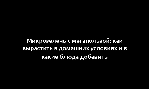 Микрозелень с мегапользой: как вырастить в домашних условиях и в какие блюда добавить