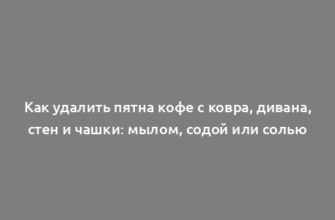 Как удалить пятна кофе с ковра, дивана, стен и чашки: мылом, содой или солью