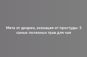 Мята от диареи, эхинацея от простуды: 5 самых полезных трав для чая