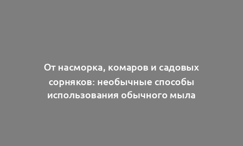 От насморка, комаров и садовых сорняков: необычные способы использования обычного мыла