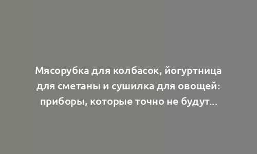 Мясорубка для колбасок, йогуртница для сметаны и сушилка для овощей: приборы, которые точно не будут пылиться без дела на кухне