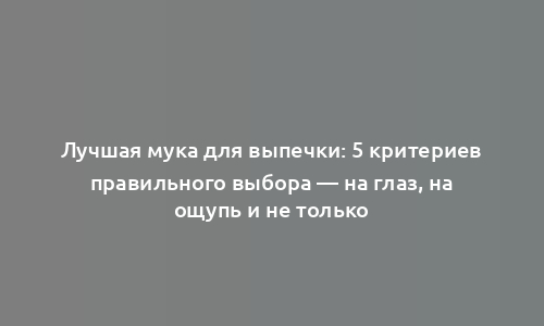 Лучшая мука для выпечки: 5 критериев правильного выбора — на глаз, на ощупь и не только