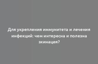 Для укрепления иммунитета и лечения инфекций: чем интересна и полезна эхинацея?