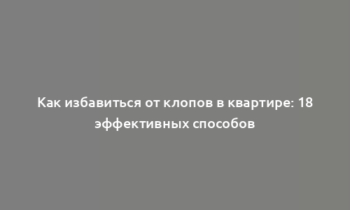 Как избавиться от клопов в квартире: 18 эффективных способов