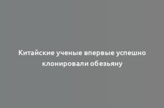 Китайские ученые впервые успешно клонировали обезьяну