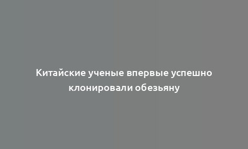 Китайские ученые впервые успешно клонировали обезьяну