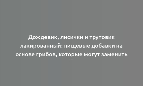 Дождевик, лисички и трутовик лакированный: пищевые добавки на основе грибов, которые могут заменить пять основных лекарств в аптечке