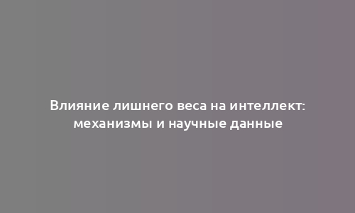 Влияние лишнего веса на интеллект: механизмы и научные данные