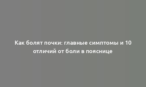 Как болят почки: главные симптомы и 10 отличий от боли в пояснице